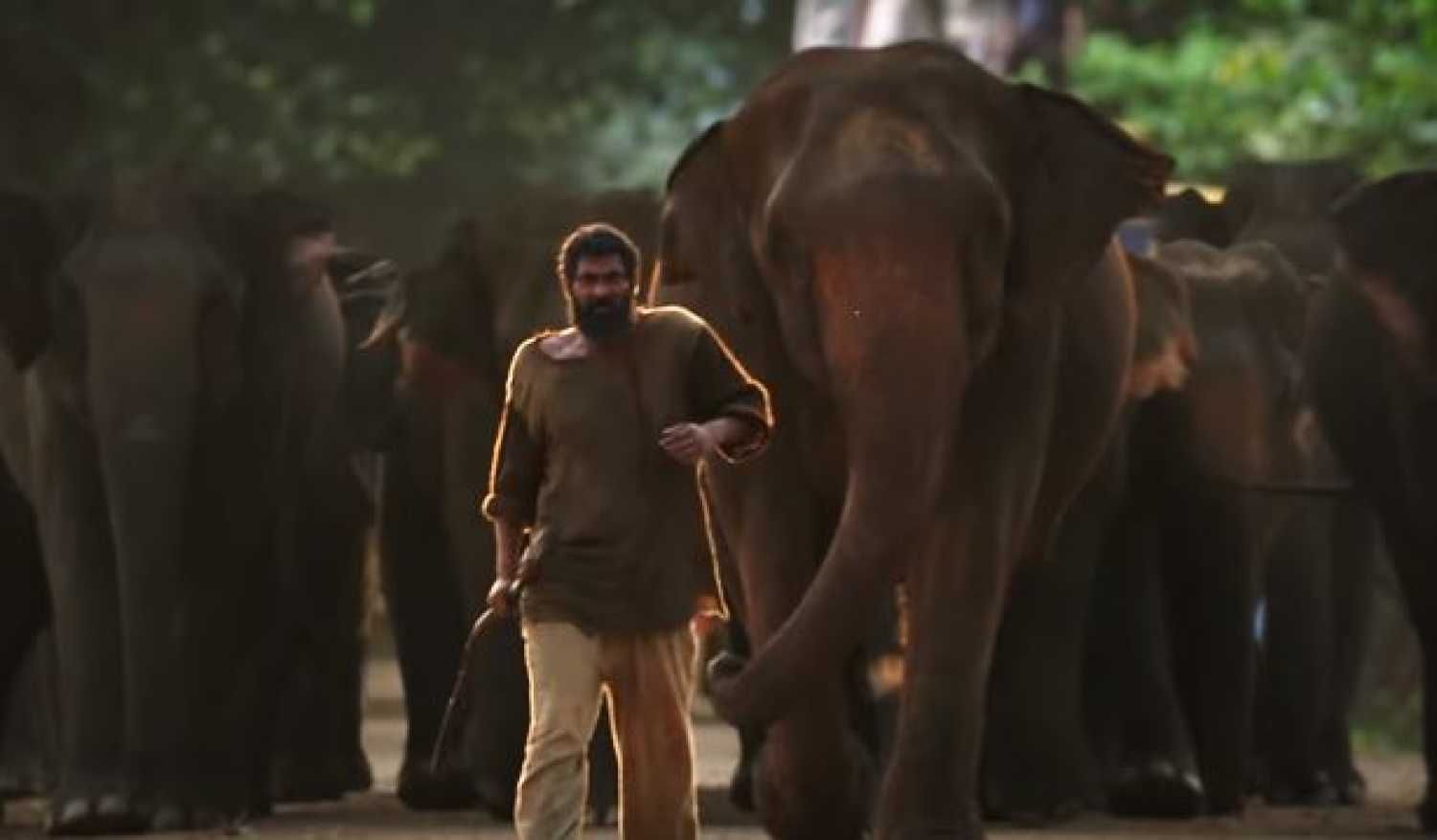 Rana Daggubati Starrer Haathi Mere Saathi Release Pushed Due To Covid-19, Telugu, Tamil Versions To Release As Planned