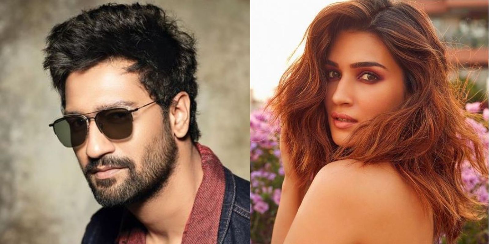 Vicky Kaushal And Kriti Sanon To Play The Lead In Rehnaa Hai Terre Dil Mein? Here's What We Know