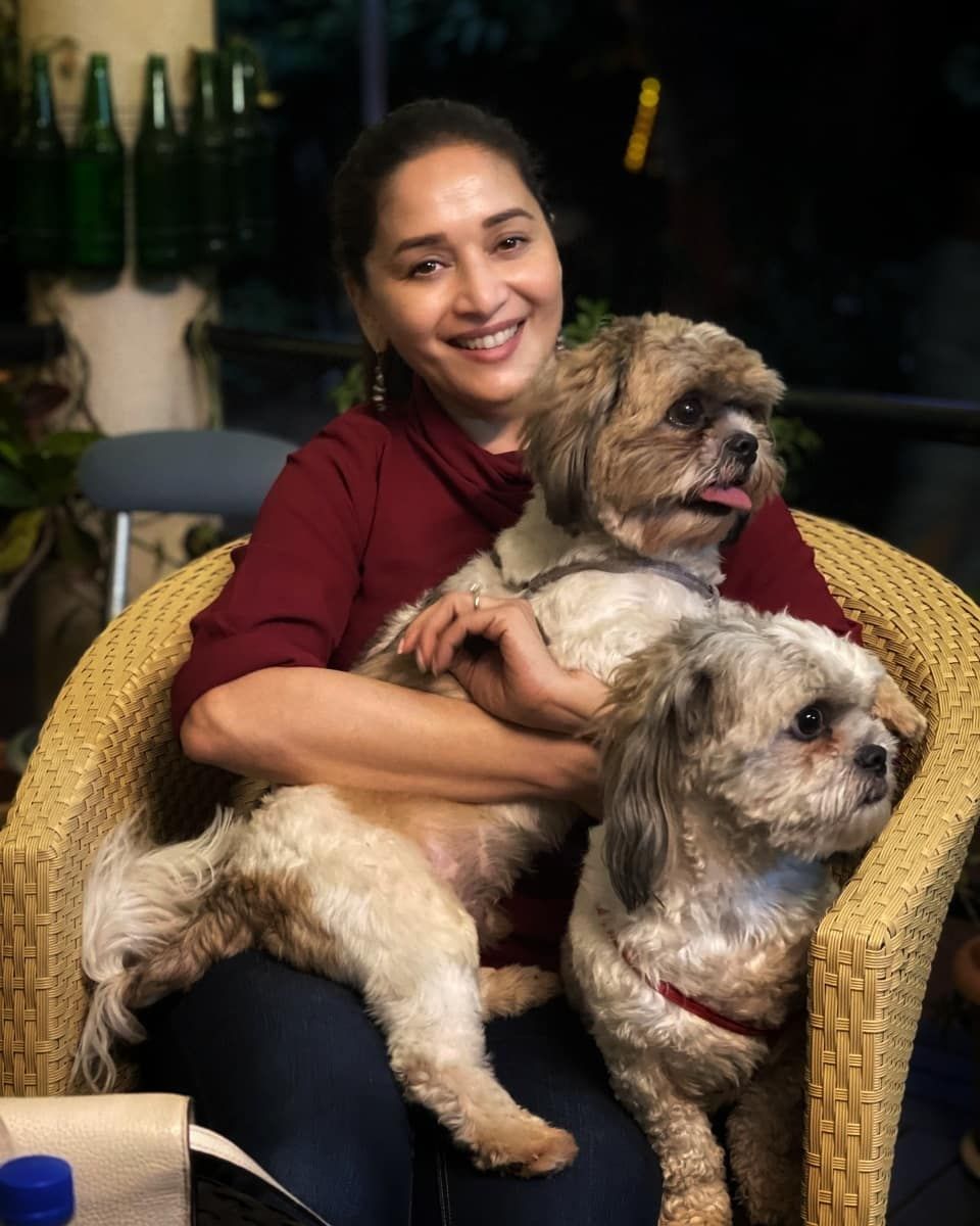 Madhuri Dixit’s Latest Post On Social Media Proves She’s A ‘Puppy Lover’