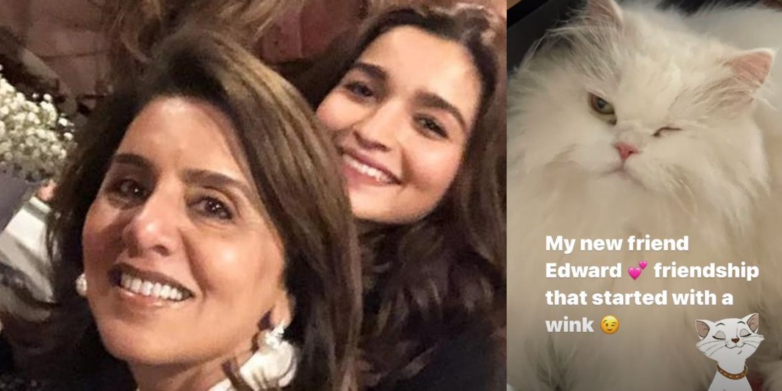 Has Alia Bhatt Dropped Her Cat Edward At Neetu Kapoor's Place? Latter Shares Pic Of The ‘New Friend’ Who Winks