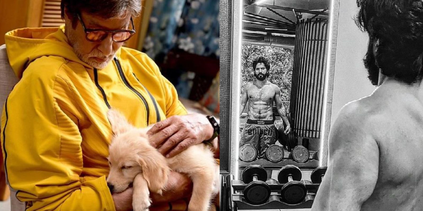 Amitabh Bachchan spends time with a new companion; Varun shares glimpses of last day on Bhediya sets