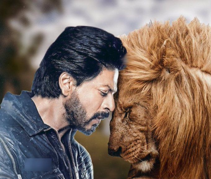 Shah Rukh Khan- Atlee's upcoming film is titled 'Lion'? A leaked letter suggests so...