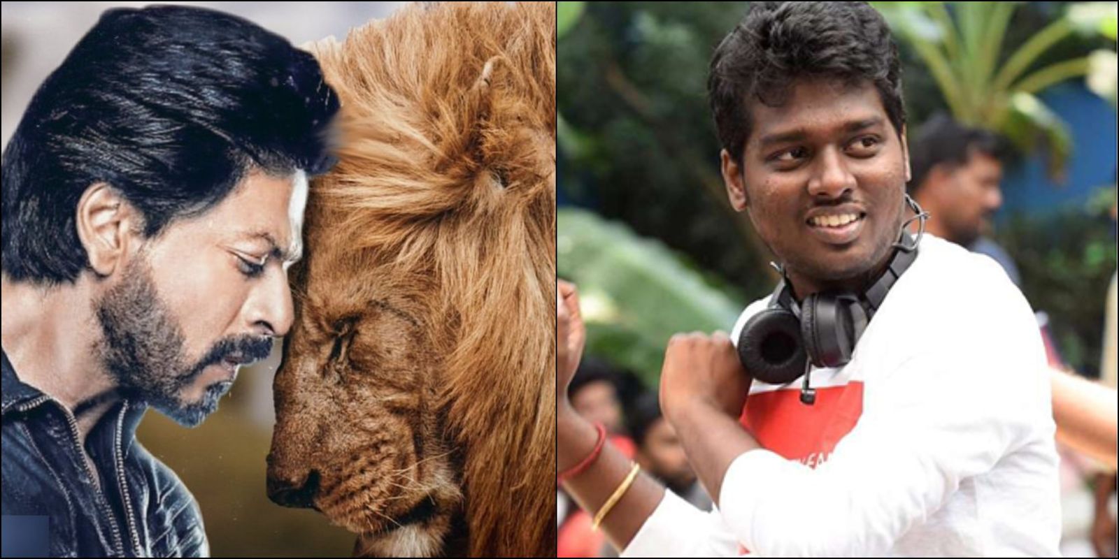 शाहरुख खान और तमिल डायरेक्टर एटली की फिल्म का नाम होगा लॉयन?