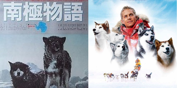 Hollywood Movies That Were Based On Japanese Films