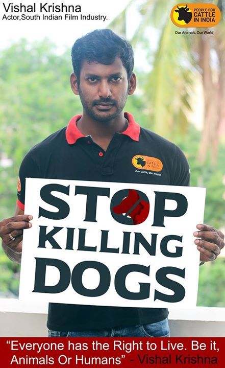 Kerala Culling of Dogs: Vishal Krishna to Participate In Hunger Strike