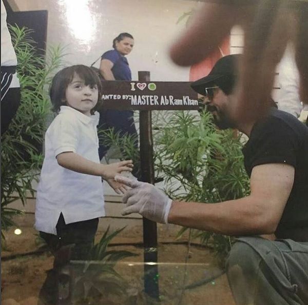Shah Rukh Khan And AbRam Plant A Tree Together
