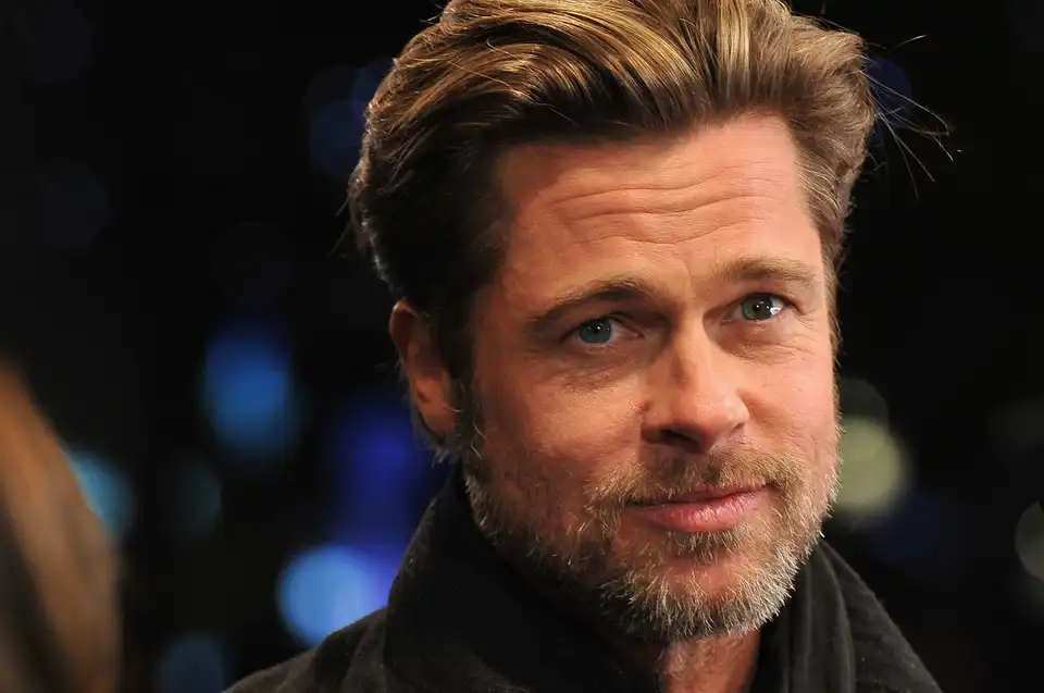 Brad Pitt Seeks Joint Custody Of His 6 Children 