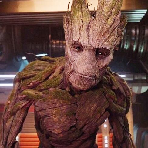 James Gunn’s Dog Was The Inspiration Behind Groot