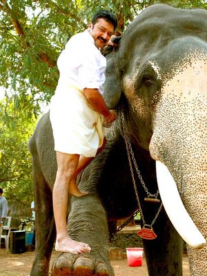 हाथी का दांत बना फिल्म स्टार जयराम के लिए परेशानी का सबब 
