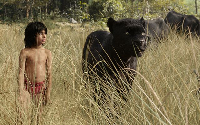 Live Poster For The Jungle Book Released