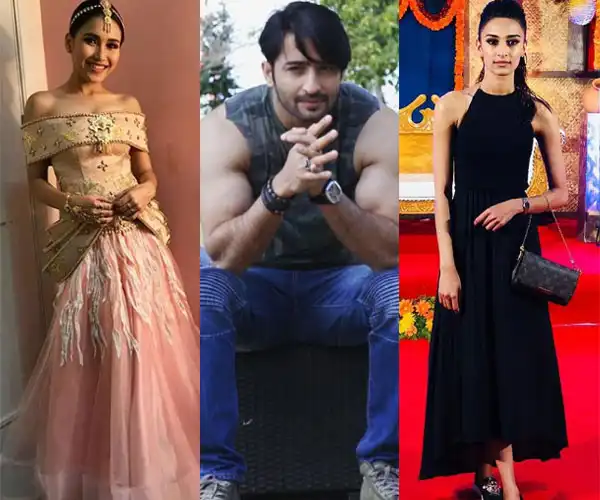 Here's The Reason Why Shaheer Sheikh And Erica Fernandes Have Broken Up!