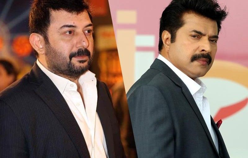 Arvind Swami And Mammootty To Share Screen Space Again?