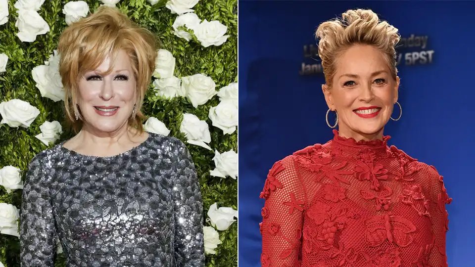Sharon Stone, Bette Midler to Feature in The Tale of the Allergist’s Wife Movie