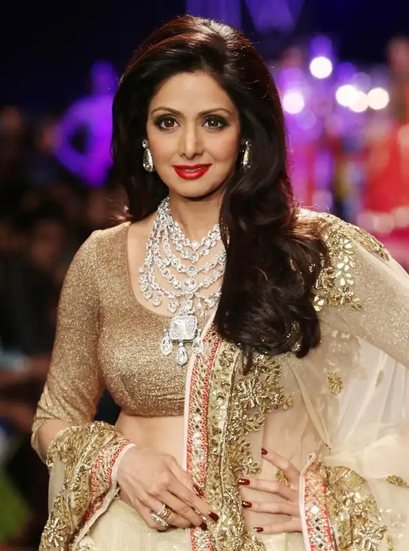 Sridevi Will Dub In Four Languages For Mom