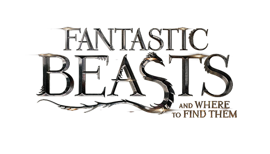 Fantastic Beasts and Where to Find Them 2 Makers Auditioning For Young Dumbledore
