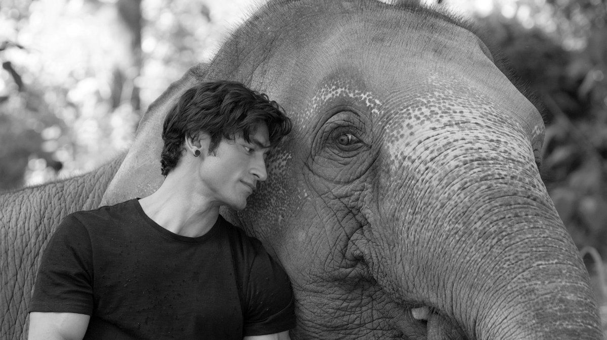 Vidyut Jammwal Turns An Elephant Whisperer For Junglee