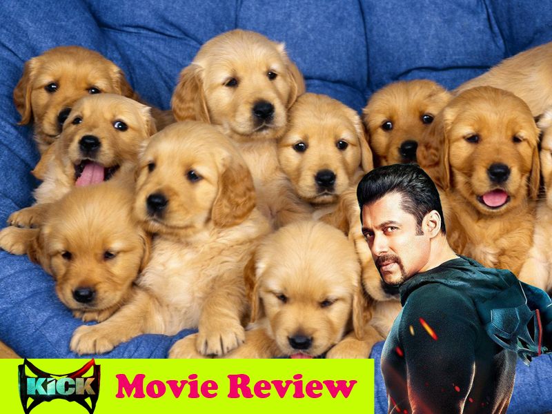 Kick Review: Doggy Style