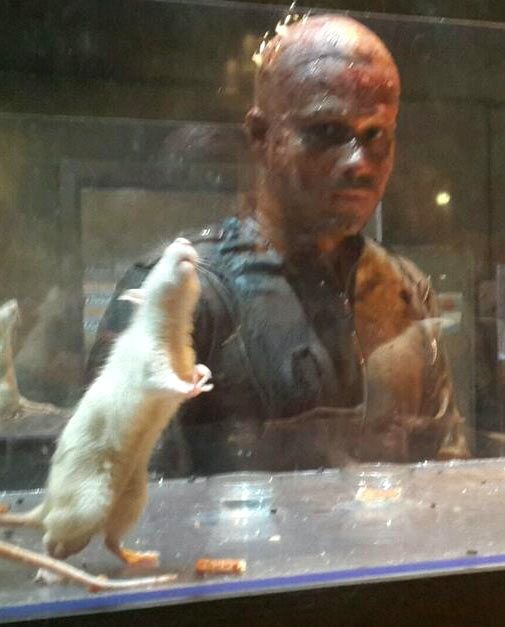 Emraan Hashmi goes bald and eerie for Mr. X, first look unveiled