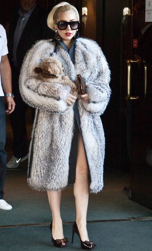 Lady Gaga says sorry to fans for wearing fur